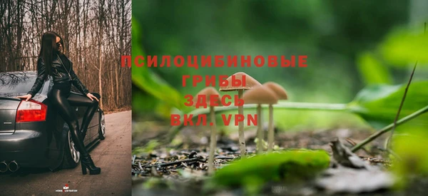 крисы Абинск